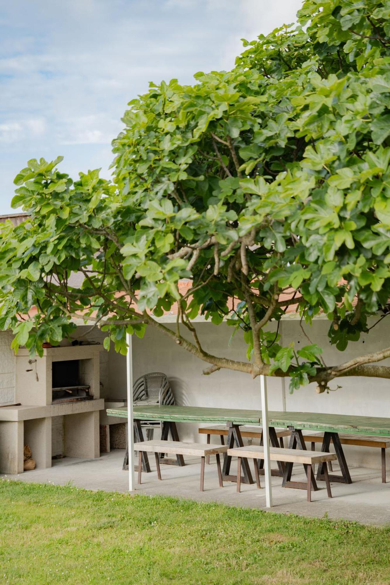 Chalet Areo Do Rio - Playa De Razo エクステリア 写真
